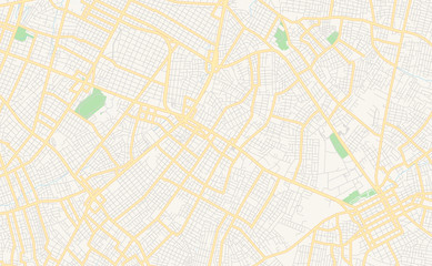 Printable street map of Fernando de la Mora, Paraguay