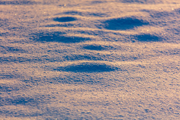 Snow at dawn in the winter sun