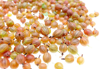 Gooseberry berries isolated on a white background