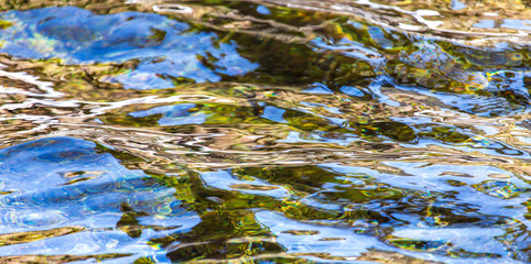 The surface of clear water in a pond
