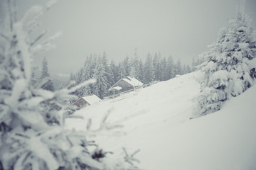 Fototapeta premium Beautiful winter mountain landscape. Cabin in the mountains in winter. Winter landscape with fresh snow in a mountain forest.