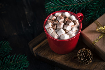 Christmas drink. Hot chocolate or cocoa, marshmallow and pine branch. Christmas, winter concept. Close up/
