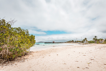 Galapagos Islands Dream beach on the island of Isabela with turquoise-blue waters and Caribbean...