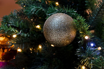 Colored christmas ball hung on a branch of a Christmas tree, Sofia, Bulgaria  