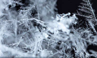winter photo of snowflakes in the snow