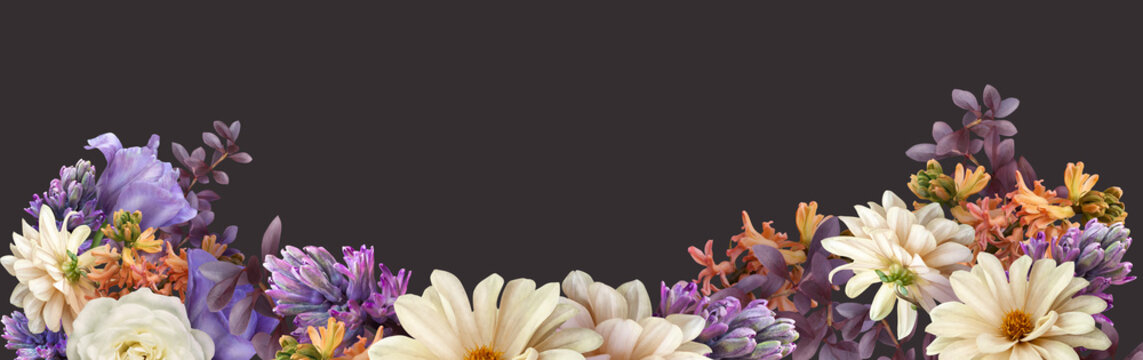 55 566 最適な 白いダリア 画像 ストック写真 ベクター Adobe Stock 55 566 最適な 白いダリア 画像 ストック写真 ベクター Adobe Stock
