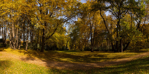 Landscape of Golden autumn in the Park where there are old oaks. Kuskovo, Moscow, Russia.