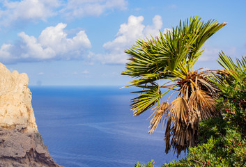 View of Palm Tree at Mirador Es Colomer with Mountains and Sea in Background, Mallorca, Spain, 2018 - 302917958