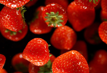 Freeze motion of flying group of strawberries fruit.