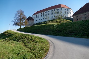 view of the castle in ptuj in slovenia