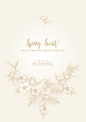 Dog-rose, briar, brier, eglantine, canker-rose. Template for wedding invitation, greeting card, banner, gift voucher. Graphic drawing, engraving style. Vector illustration in beige and white.