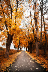 Orange path out of Hrensko