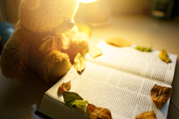 teddy bear reading a book