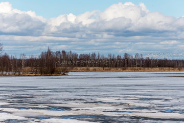 Fototapeta na wymiar winter landscape on the lake