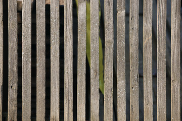 wooden fence