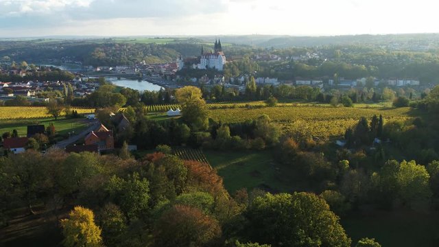 Drone flight over vineyard near Meissen, Germany