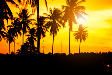 Blurred of silhouette coconut trees with sunset background