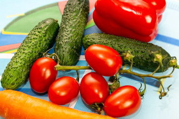 Vegetables are on financial documents. Various vegetables carrots, cucumbers, tomatoes, peppers are laid out on documents, diagrams, business schedules.