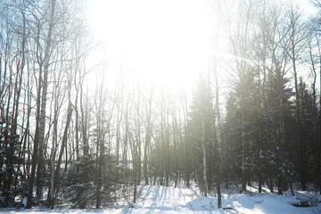 Winter landscape of country fields and roads