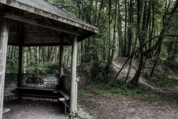 Fototapeta na wymiar wooden cabin in the forest