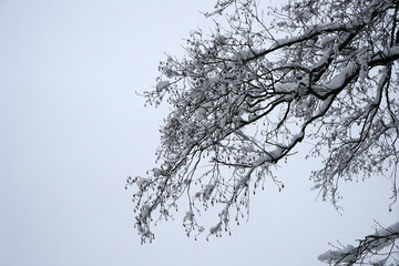 Fototapeta na wymiar Winter with lots of snow in Bavaria is beautiful again every year