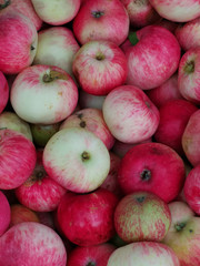Colorful fresh ripe apple fruits background, apples from the orchard, agricultural concept, vertical image