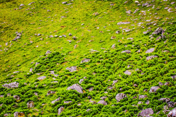 Beautiful scenic landscape of Scotland nature.