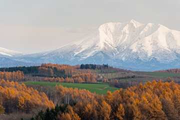 Naklejka premium 雪山ワインディングロード