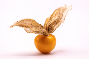 Selective focus  close up cape gooseberry fruits (Physalis peruviana)isolated on white background.Commonly called goldenberry, golden berry, Pichuberry.