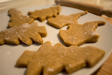 Raw Cookies on a Plate