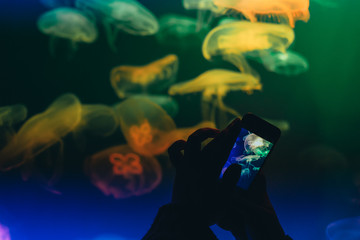 Mobile photo, people take pictures of jellyfish in aquarium