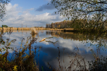 staw jesienią © wedrownik52
