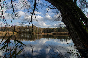 staw jesienią © wedrownik52