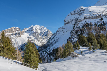 Fototapeta na wymiar Verschneite Winterlandschaft im Berner Oberland