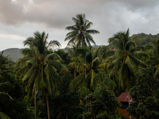 Fototapeta na wymiar hills in the jungle with clouds in Thailand 