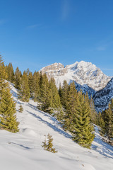 Verschneite Winterlandschaft im Berner Oberland