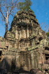 The ancient temple of Ta Prohm , Angkor , Cambodia