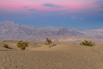 Mesquite Flat Sand Dunes