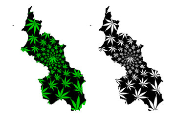 Sucre Department (Colombia, Republic of Colombia, Departments of Colombia) map is designed cannabis leaf green and black, Sucre map made of marijuana (marihuana,THC) foliage....