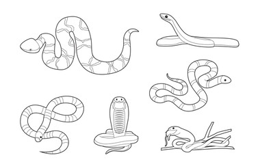Various Snakes Cartoon Vector Coloring Book Set 1