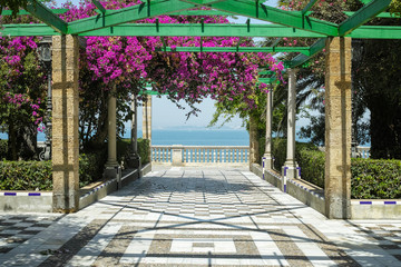 Beautiful green parks with ocean view in one of oldest city in Europe, Cadiz, Andalusia, Spain