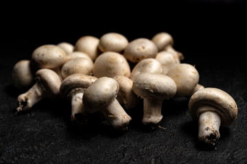Champignon mushrooms (Agaricus bisporus) basidiomycete fungus on dark background
