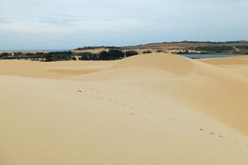 Fototapeta na wymiar White sand dune in Mui Ne, Vietnam Phan Thiet, Vietnam. Popular tourist attraction