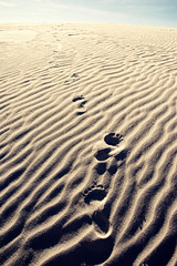 Foot Prints In The Sand. Sacred Seeker. 