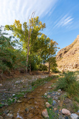 Photo of the Alcolea River as it passes through Lucainena