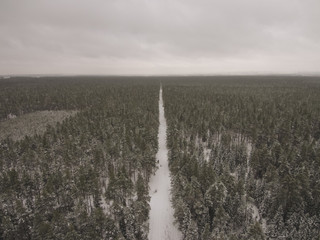 clearing passes through a beautiful snowy forest