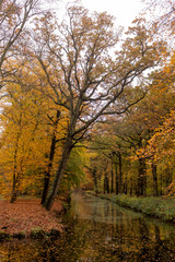 Trees in autumn colors reflected in the water of a canal