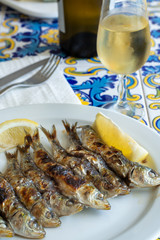 Espeto, Malaga style fish on stick barbecue prepared on olive tree firewoods served with dry fino sherry wine