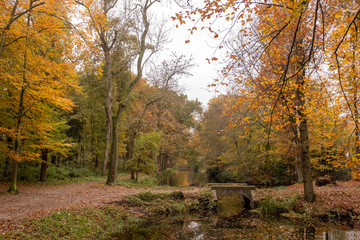 Naklejka premium Old arched bridge over a canal in a forest in autumn colors