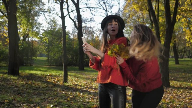 fall season, funny seductive girls friends take pictures on phone against backdrop of autumn leaves in the park for a walk
